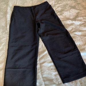 Express Stretch Capri Pants